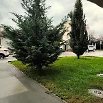 Mia Apartament *